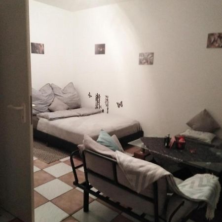 Studiowohnung, Neu Renoviert, Zentrale Lage سارلويس المظهر الخارجي الصورة