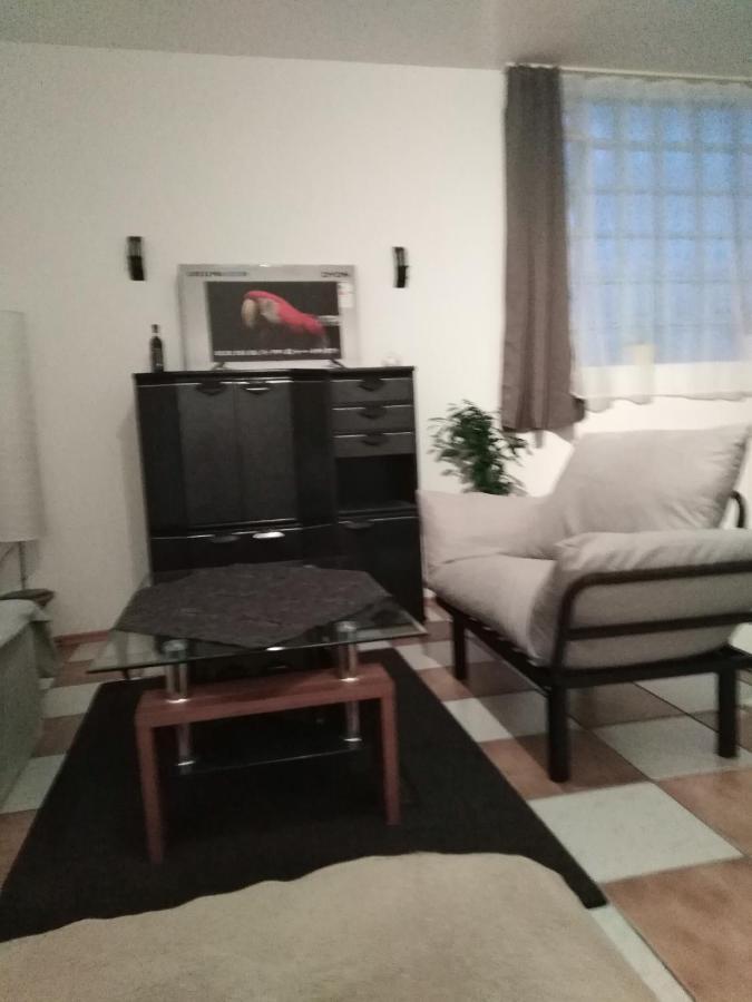 Studiowohnung, Neu Renoviert, Zentrale Lage سارلويس المظهر الخارجي الصورة