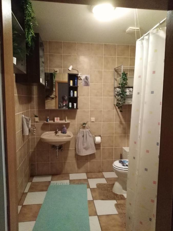 Studiowohnung, Neu Renoviert, Zentrale Lage سارلويس المظهر الخارجي الصورة
