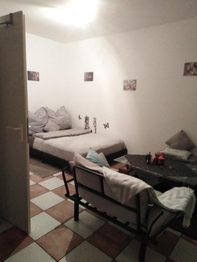 Studiowohnung, Neu Renoviert, Zentrale Lage سارلويس المظهر الخارجي الصورة