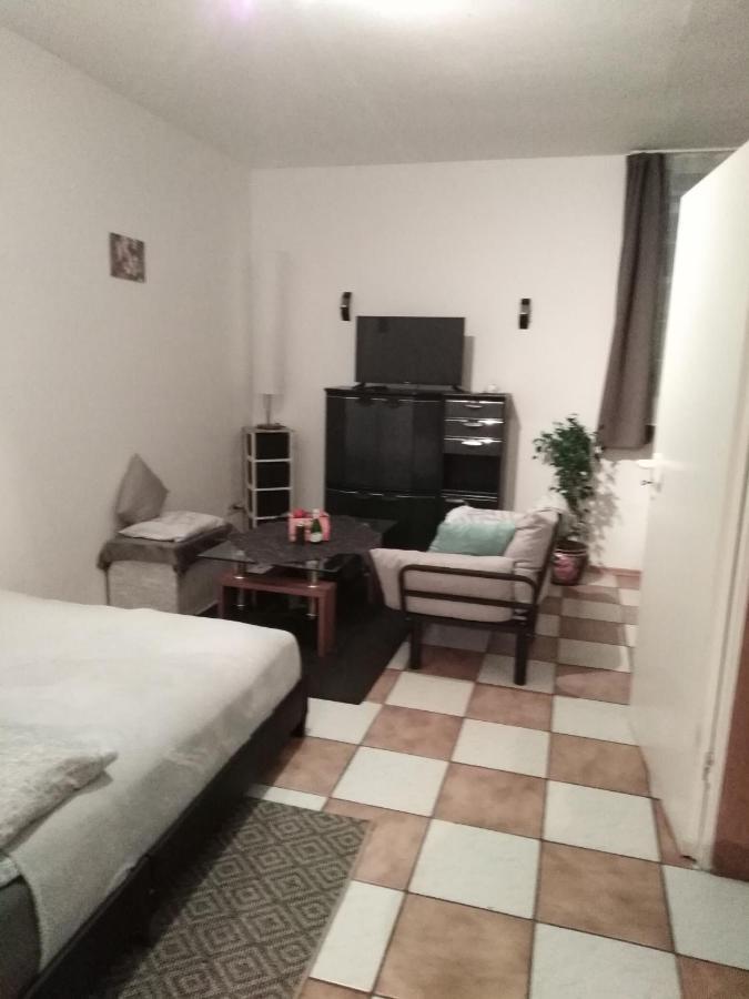 Studiowohnung, Neu Renoviert, Zentrale Lage سارلويس المظهر الخارجي الصورة